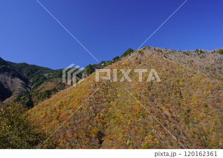 紅葉する山 紅葉する山 120162361