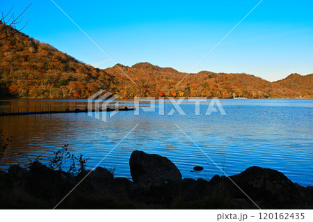 赤城大沼　湖畔からの眺め　秋色の景色　　　　 120162435