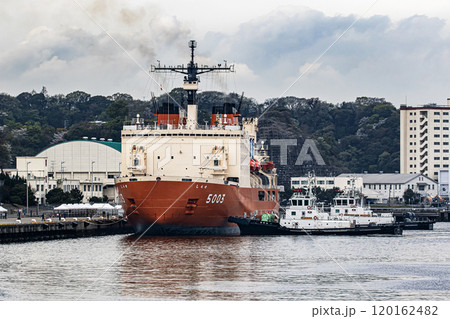 海上自衛隊横須賀基地に入港し停泊のために曳舟に曳航される海上自衛隊砕氷艦しらせ 120162482