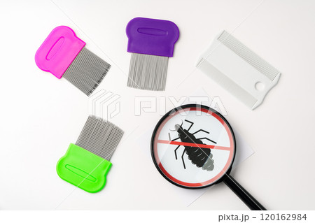 A magnifying glass and lice combs placed side by side on a clean white background 120162984