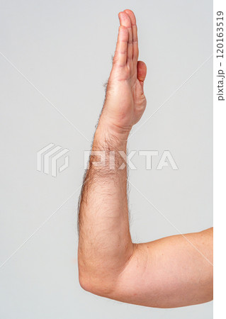Hand raised in greeting against a plain background Hand raised in greeting against a plain background 120163519
