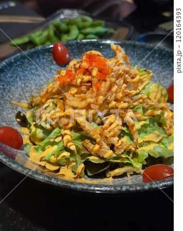 Closeup salad in ceramic plate Closeup salad in ceramic plate 120164393