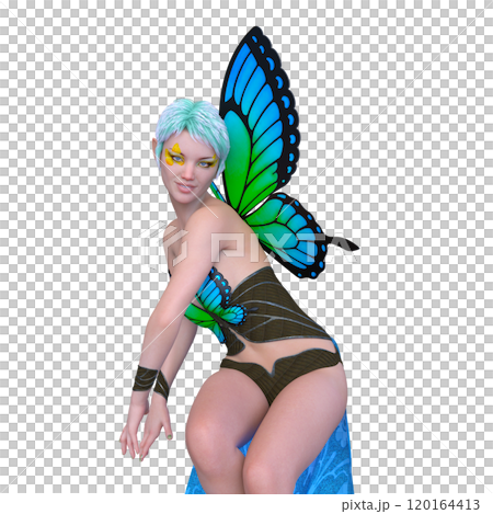 蝶々の妖精 蝶々の妖精 120164413