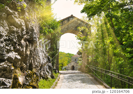 森林の中のモツァメタ修道院参道 森林の中のモツァメタ修道院参道 120164706