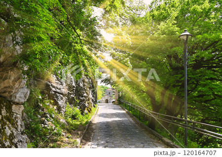 森林の中のモツァメタ修道院参道 120164707