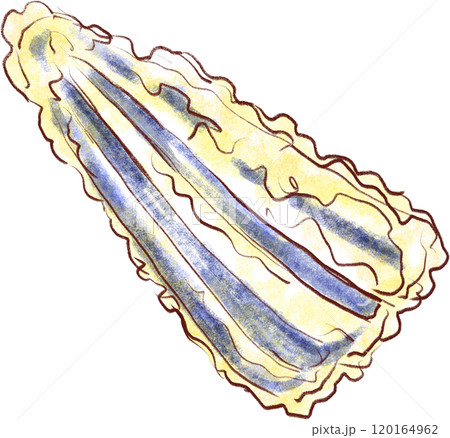 天ぷらのイラスト_茄子の天ぷら 天ぷらのイラスト_茄子の天ぷら 120164962