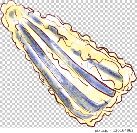 天ぷらのイラスト_茄子の天ぷら 天ぷらのイラスト_茄子の天ぷら 120164962