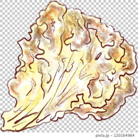 天ぷらのイラスト_舞茸天_舞茸の天ぷら 120164964