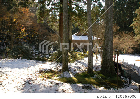 A japanese garden with fresh snow / 雪化粧した日本庭園の苔庭 120165080
