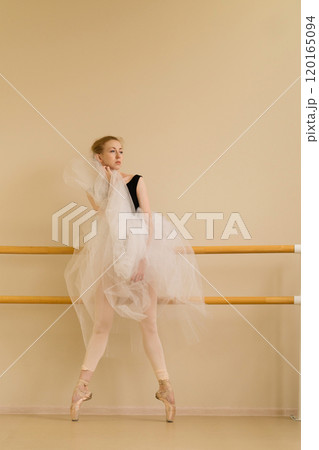 Ballet dancer poses elegantly in a dance studio Ballet dancer poses elegantly in a dance studio 120165094