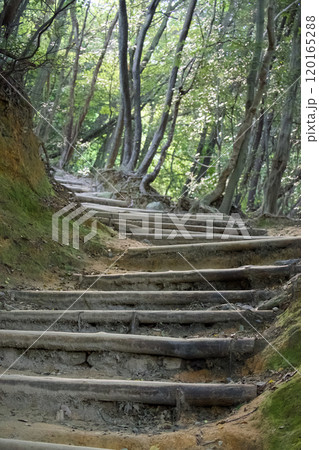 木製階段の登山道 木製階段の登山道 120165288