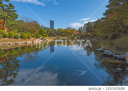 広島 縮景園の庭園風景 広島 縮景園の庭園風景 120165886