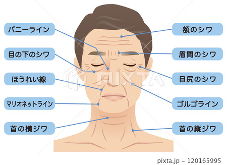 中年男性　シワ　名称　美容　老化 120165995