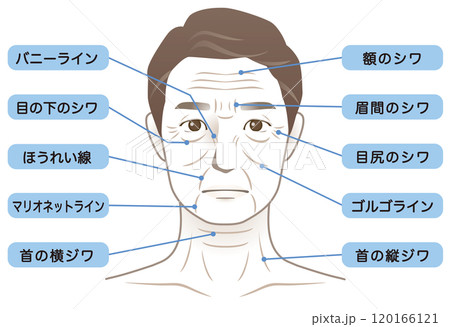 中年男性　シワ　名称　美容　老化 120166121