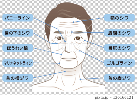 中年男性　シワ　名称　美容　老化 120166121