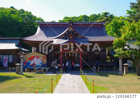 新緑に包まれた大洗磯前神社 新緑に包まれた大洗磯前神社 120166177