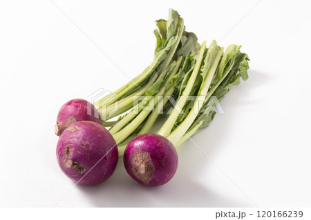 ［山形県　朝日町産］温海かぶ　  120166239