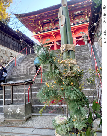 'Kadomatsu' pine tree at shrine / 新年の神社に奉納される門松 'Kadomatsu' pine tree at shrine / 新年の神社に奉納される門松 120166298