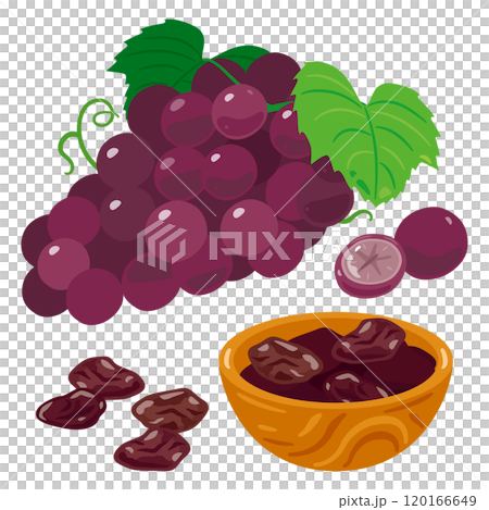木碗裡的葡萄和葡萄乾組 120166649
