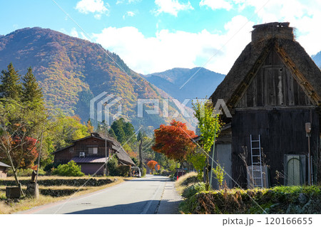 白川郷 紅葉 白川郷 紅葉 120166655