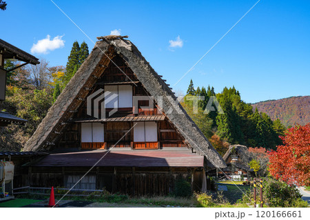 白川郷 紅葉 白川郷 紅葉 120166661