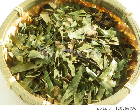 うらじろがし茶の茶葉 120166736