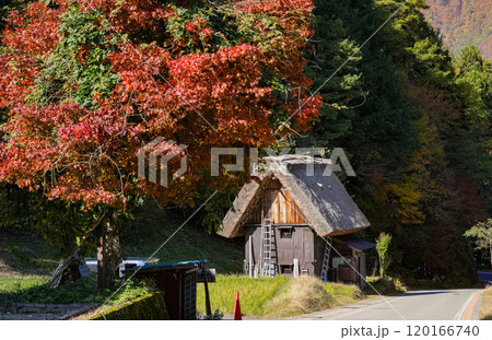 白川郷　紅葉 120166740