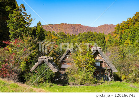 白川郷　紅葉 120166743