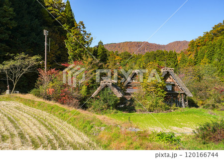 白川郷　紅葉 120166744