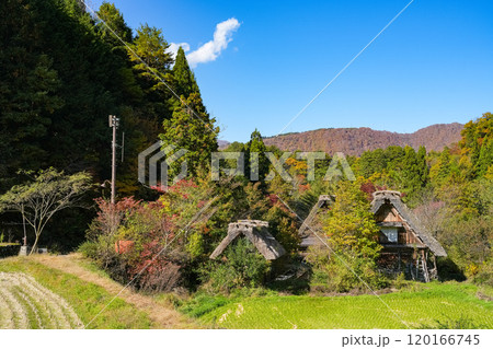 白川郷　紅葉 120166745