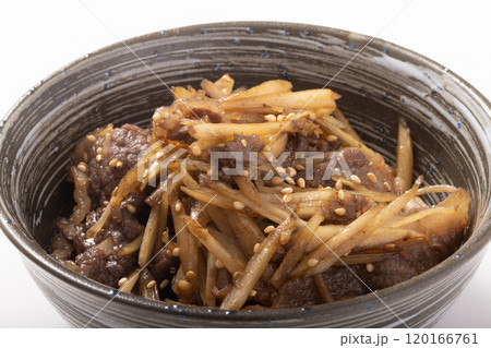 黒毛和牛とごぼうのしぐれ煮(甘辛煮) 黒毛和牛とごぼうのしぐれ煮(甘辛煮) 120166761