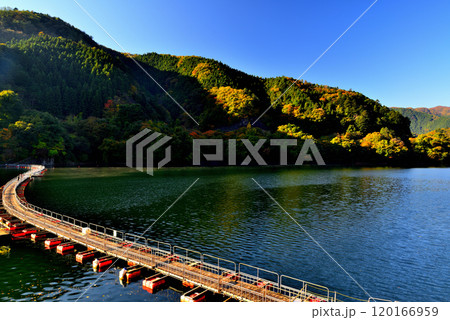 奥多摩湖 紅葉の麦山浮橋 ドラム缶橋の風景 奥多摩湖 紅葉の麦山浮橋 ドラム缶橋の風景 120166959