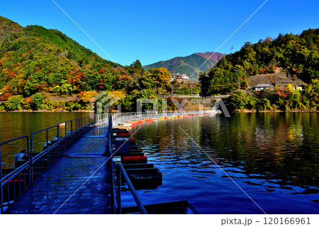 奥多摩湖 紅葉の麦山浮橋 ドラム缶橋の風景 奥多摩湖 紅葉の麦山浮橋 ドラム缶橋の風景 120166961