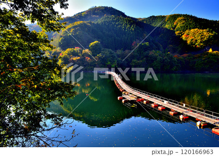 奥多摩湖 紅葉の麦山浮橋 ドラム缶橋の風景 120166963