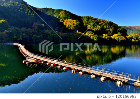 奥多摩湖 紅葉の麦山浮橋 ドラム缶橋の風景 奥多摩湖 紅葉の麦山浮橋 ドラム缶橋の風景 120166965
