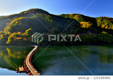 奥多摩湖 紅葉の麦山浮橋 ドラム缶橋の風景 奥多摩湖 紅葉の麦山浮橋 ドラム缶橋の風景 120166966