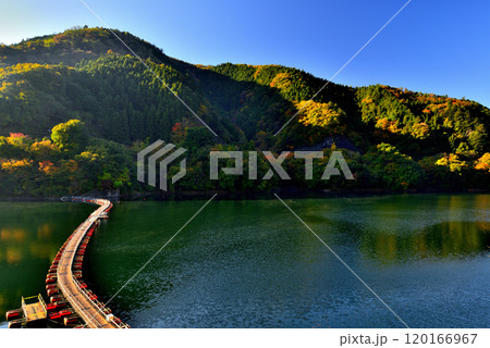 奥多摩湖 紅葉の麦山浮橋 ドラム缶橋の風景 120166967