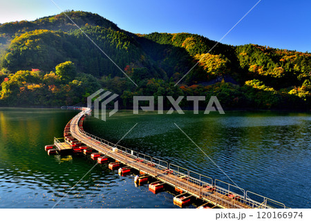 紅葉の奥多摩湖 麦山浮橋 ドラム缶橋の風景 120166974