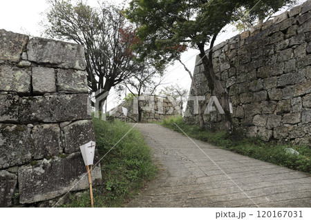 丸亀城 二の丸大手虎口(香川県 丸亀市) 丸亀城 二の丸大手虎口(香川県 丸亀市) 120167031