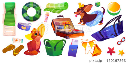 Pet friendly summer vacation items 120167868