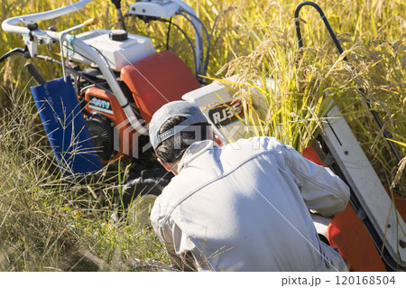 稲刈りイメージ　手押しの稲刈り機バインダーの調子が悪くて様子を見る男性 120168504