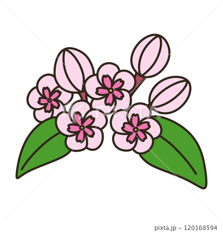 ルクリア ルクリア 120168594