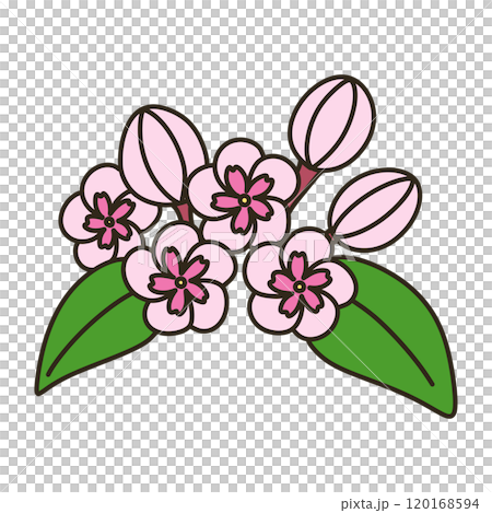 ルクリア ルクリア 120168594