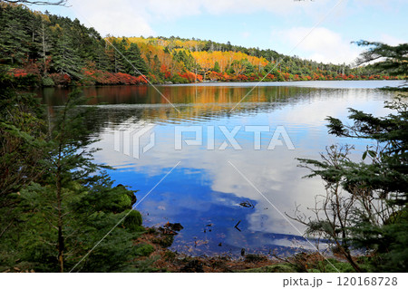 白駒の池の紅葉と苔の森 白駒の池の紅葉と苔の森 120168728