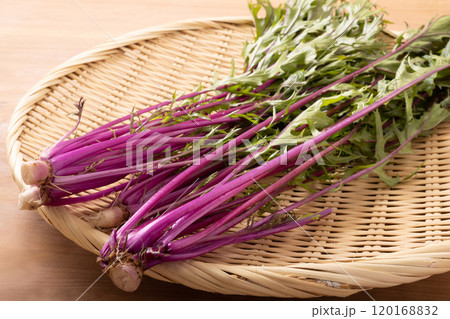 ［福島県　福島市産］サラダ水菜（紅法師） 120168832