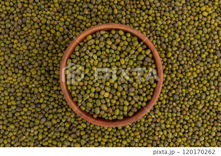 mung bean background 120170262