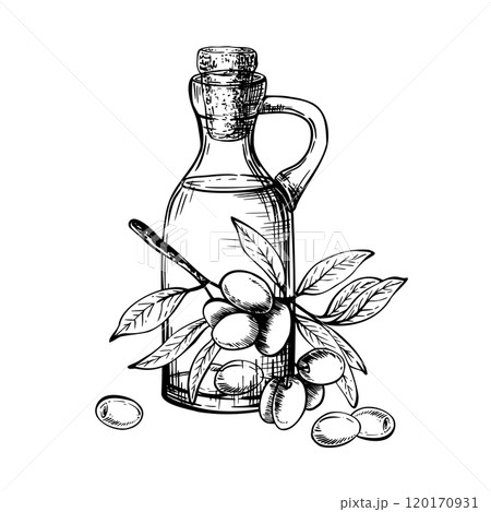 Olive oil in glass bottle with cork and olive tree branch with leaves and berries. Carafe with food sauce. Vector ink line art hand drawn illustration Food label, menu clipart isolated from background Olive oil in glass bottle with cork and olive tree branch with leaves and berries. Carafe with food sauce. Vector ink line art hand drawn illustration Food label, menu clipart isolated from background 120170931