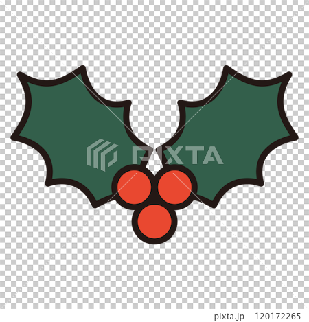 Simple illustration of holly with red berries Christmas 120172265