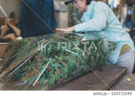 花き農家の出荷作業 120172549