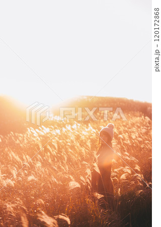 夕日に染まるススキに囲まれる女性 120172868